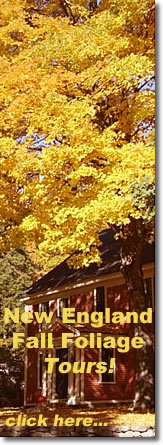 New England Fall Foliage Tours!